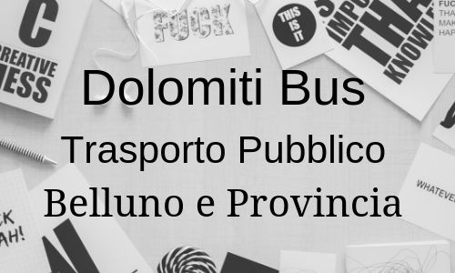 DolomitiBus Informazioni Utili